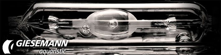 Giesemann MEGACHROME hqi