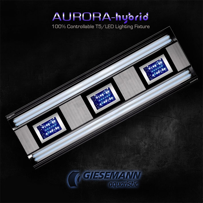 Giesemann Aurora Hybrid 4*54w+3 LED panel