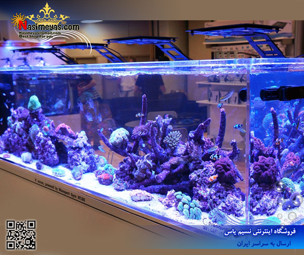 فروش سیستم نور حرفه ای آب شور Ethereal E5-130 مکس اسپکت maxspect