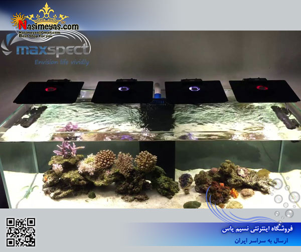 فروش نور حرفه ای آب شور Ethereal E5-130 مکس اسپکت maxspect
