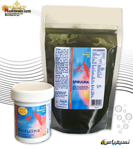 پودر اسپیرولینا تخصصی برای پرندگان مورنینگ برد,Morning Bird SPIRULINA