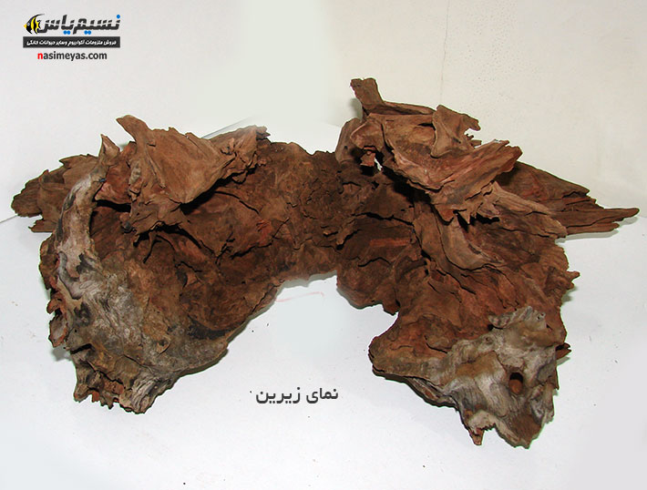 فروش تنه درخت طبیعی آکواریوم های گیاهی و شیرین شماره 1