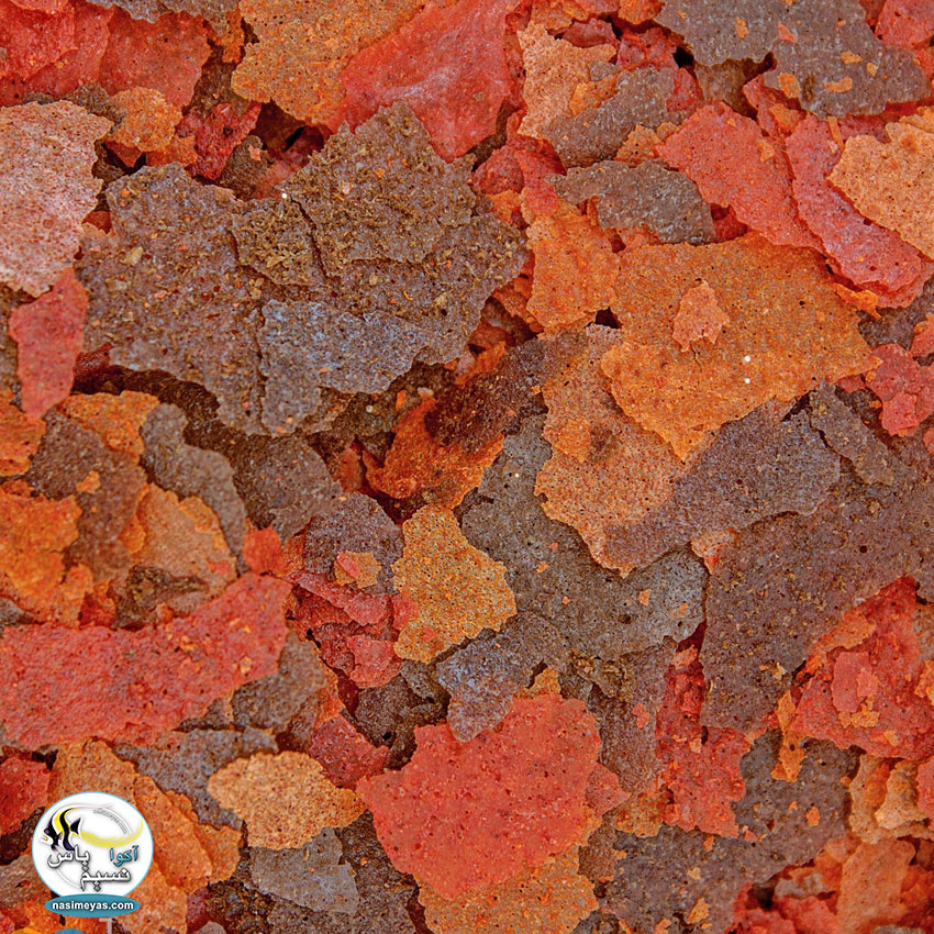 Ocean Nutrition Brine Shrimp Plus™ Flakes