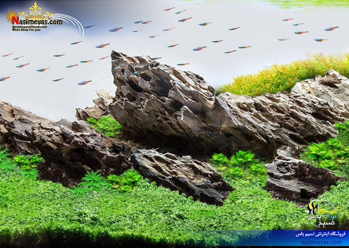 سنگ و صخره دراگون تزئینی آکواریوم های گیاهی و شیرین Dragon Stone (Ohko Stone)