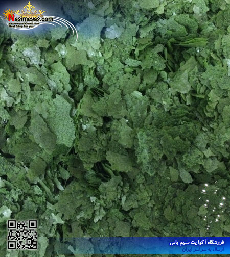 Malaysia marin flake spirulina