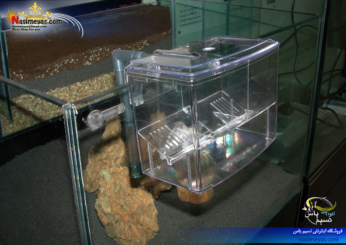 پرورشگاه و زایشگاه ماهی هنگان Breeding House