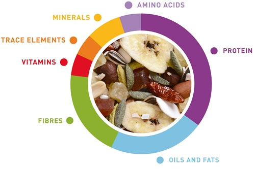 Padovn Wellness mix for parrots