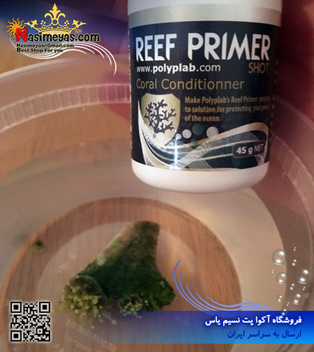 Polyplab Reef Primer One Shot