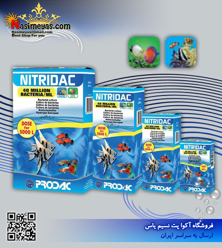 PRODAC Nitridac 100ml