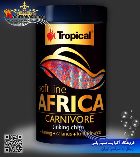 فروش غذای چیپس سافت لاین ماهیان گوشت خوار آفریقا کارنی وور 100 میل تروپیکال