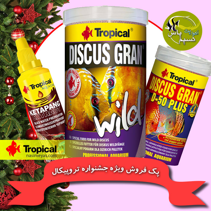 پک 1 تخفیفی جشنواره تروپیکال