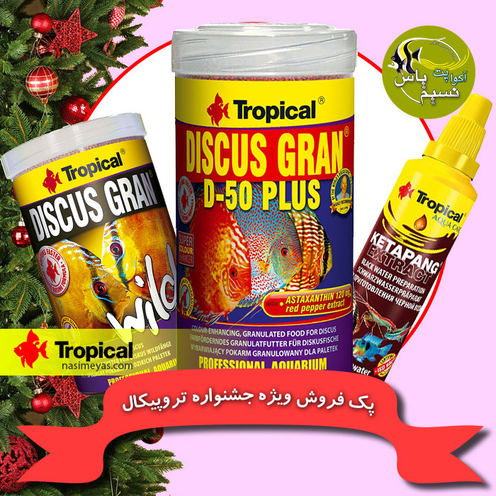 پک 2 تخفیفی جشنواره تروپیکال