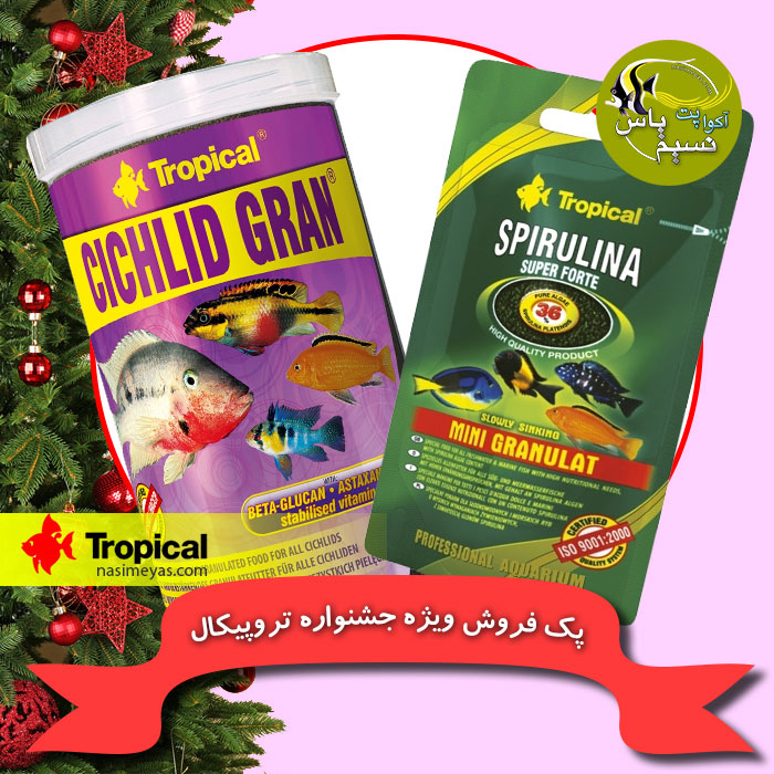 پک 4 تخفیفی جشنواره تروپیکال