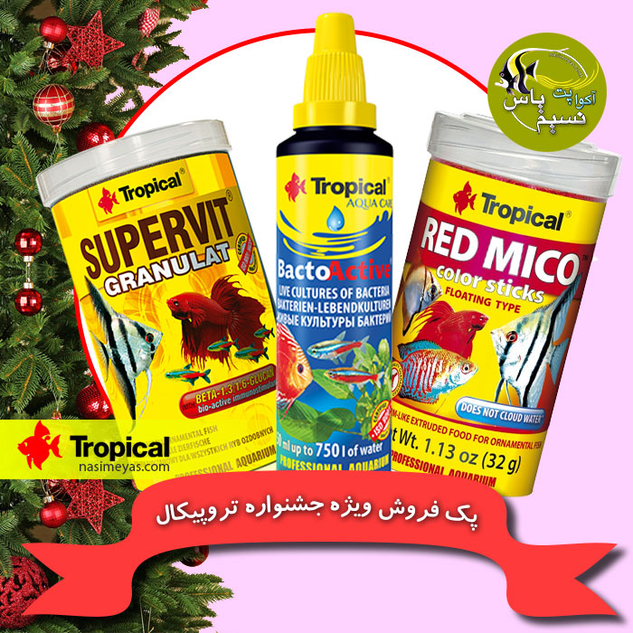 پک 5 تخفیفی جشنواره تروپیکال