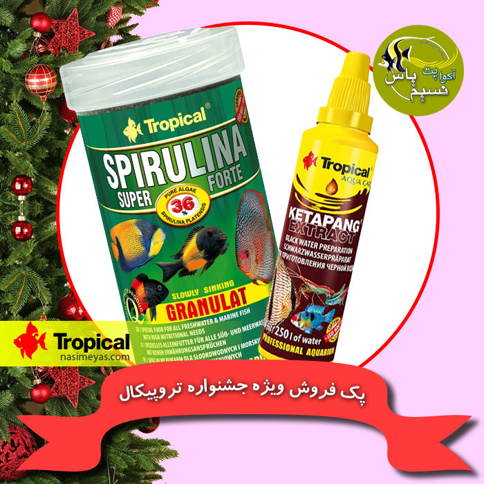 پک 6 تخفیفی جشنواره تروپیکال