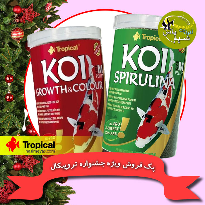 پک 11 تخفیفی جشنواره تروپیکال