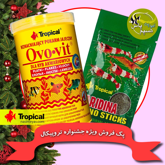 پک 12 تخفیفی جشنواره تروپیکال