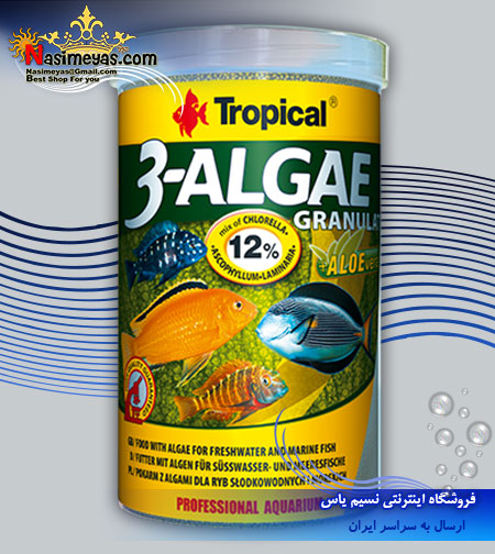 فروش غذای 3 جلبکی و آلوئه ورا 250 میل شرکت تروپیکال