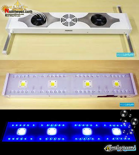 zetlight zp4300