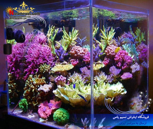 zetlight Aquarium LED system Zt6600