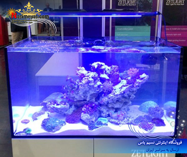 فروش نور ال ای دی مخصوص آب شور zt 6600 a شرکت زتلایت zetlight