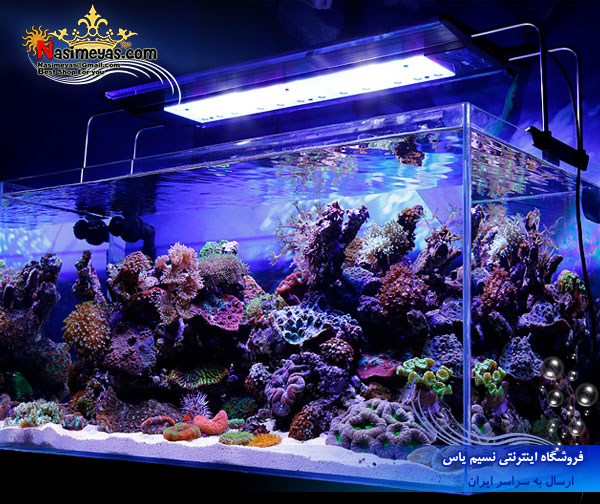 فروش نور ال ای دی مخصوص آب شور 6600ZP شرکت زدلایت zet light